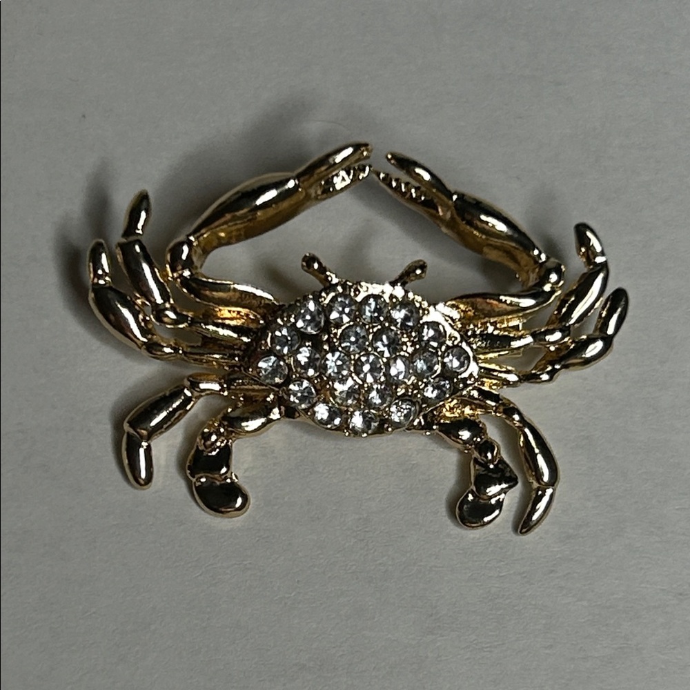 Reserved- Gold glitter Zodiac Brooch